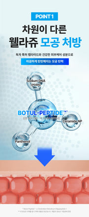 WELLAGE Hyper Peptide Bandage 1000 Cream ingredient system official Korean information