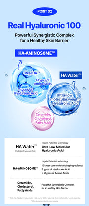 WELLAGE Real Hyaluronic 100 Cream point 2 ingredients official information