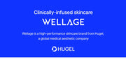 WELLAGE Real Hyaluronic 100 Toner 500 mL english hugel brand context official product information