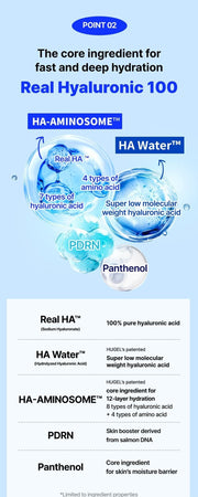 WELLAGE Real Hyaluronic Blue 100 Ampoule 60 mL: Hyaluronic acid PDRN and panthenol ingredient summary