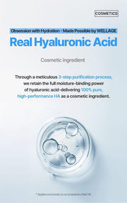 WELLAGE Real Hyaluronic Blue Sun Cream: Hyaluronic acid purity and ingredient qualifier