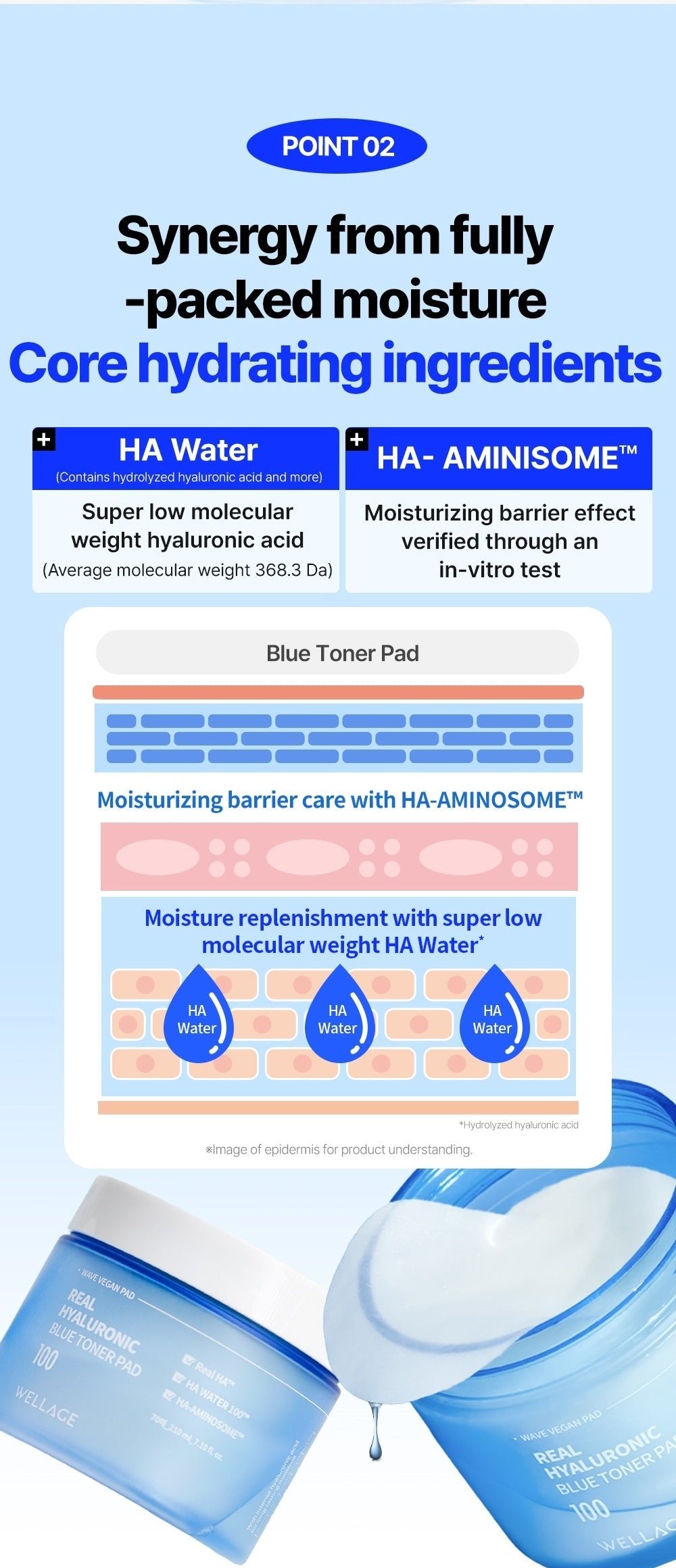 WELLAGE Real Hyaluronic Blue Toner Pad 100: Hydrating ingredients and HA Aminosome in vitro qualifier