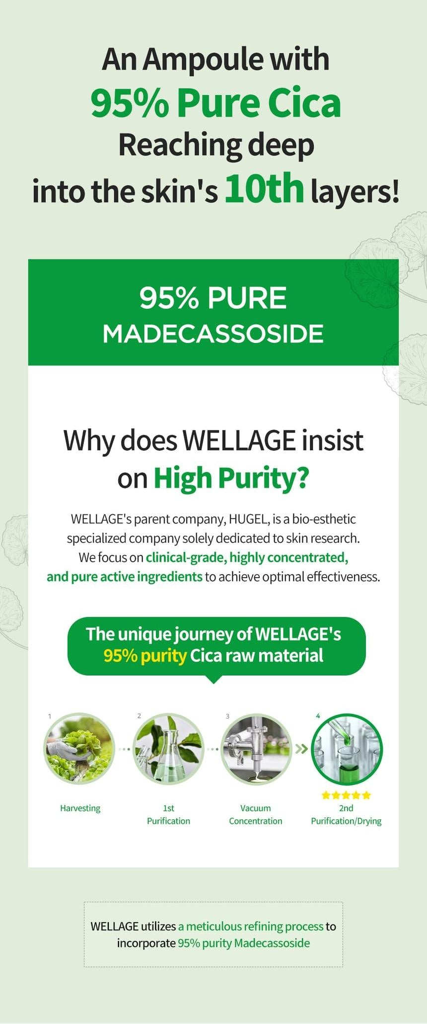 WELLAGE Real Cica Calming 95 Trouble Ampoule: Madecassoside raw material purity