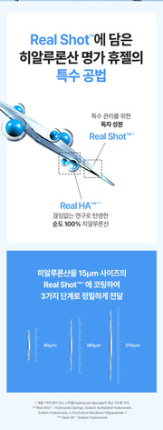 WELLAGE Lip Plumper 500: Real Shot manufacturing explanation and ingredient footnotes